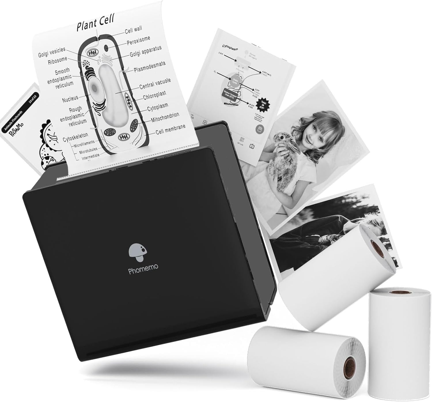 M02 Mini Sticker Printer, Bluetooth Pocket Printer Gift Suit 3 Sizes of Mixed Thermal Paper Rolls, Print Pod, Compatible with Ios & Android, Gifts for Christmas, Work, Home, Travel - Black - EdifyTech